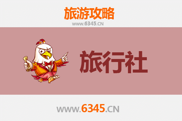 琼海阳江镇本地旅行社推荐 | 深度游玩攻略与优选服务指南